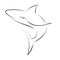 Black line shark on white background