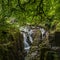 Black Linn Falls at the Hermitage, Scotland