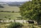 A black,long horned bull looks out from the shade of a tree next to a gate, Sidbury Hill, Tidworth,Wiltshire,England