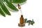 Black lotion bottle with green eucalyptus branches. On a wooden podium. Green palm branch.