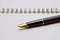 Black luxury gold plated fountain pen on open planner