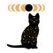 Black magical cat with star pattern and eclipse stages. Astrology and mystery