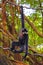 A black male gibbon is hanging on vine in the zoo