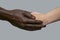 Black male hands hold white female human hands in their palms. The concept of inter-racial friendship, love, respect, and the