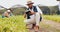 Black man, tablet and farmer in greenhouse for harvest, production or inspection of crops or resources in nature