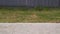 A black man using a lawnmower in his garden