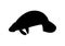 Black manatee icon on white background