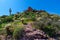 Black Mesa Trail Superstition Mountain Wilderness Arizona