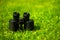 Black, metal binoculars on green grass, space for text