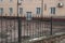 Black metal fence of sharp iron bars in a forged pattern on the street in front of a brown house