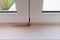 Black mold on white window sill