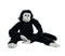 Black monkey doll isolated on white background