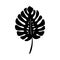 Black Monstera leaf vector. Tropical tree. Minimalist botanical outline. Jungle flat design on white backgrownd.