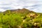 Black Mountain with Cacti and Boulders in the Arizona Desert