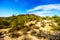 Black Mountain with Suguaro and Cholla Cacti and Boulders in the Arizona Desert