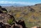 Black Mountains in Western Arizona, Spring wildflowers