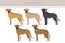 Black mouth cur clipart. Different coat colors and poses set