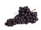 Black Muscat Grape, vitis vinifera, Fruit against White Background