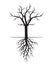 Black naked Tree with Roots. Vector Illustration