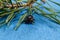 A black narrow-fronted leaf beetle Chrysolina sanguinolenta sits on green pine needles.