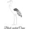 Black necked crane outline bird