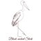Black necked stork cartoon bird coloring