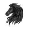 Black noble horse profile portrait