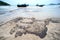 Black oil marks on the beach Which is harmful to the environment.