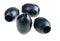 Black olive