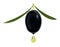 Black olive