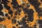 Black and orange camouflage abstract hand painted tie dye textu