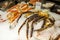 Black and Orange King Crab sea food for sale at Bergen fish market