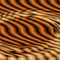 Black orange ripples 2