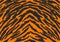 The Black-Orange Tiger Stripes Fur texture, carpet animal skin background, black and orange theme color, look smooth, fluffy.