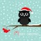 Black owl in Santa Claus hat. Cute cartoon character sitting on rowan rowanberry sorb berry tree branch. Snow flake blue