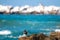 The Black Oystercatcher Catching Oysters by the Beach