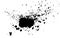 Black paint, ink splash, brushes ink droplets, blots. Black ink splatter grunge background, isolated on white. Vector illustratio