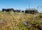 Black painted wooden fishermens` huts in the sand dunes at Winterton on Sea near Great Yarmouth of the east coast of Norfolk UK.