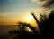 Black palm branches silhouette in front of golden sea sunset and sky with clouds