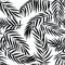 Black palm leaves on white background. Tropical silhouette seamless vector pattern.