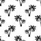 Black palm trees contour seamless pattern isolated on white background.