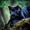 Black panther close up portrait in woods generative ai