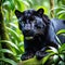 Black panther close up portrait in woods generative ai