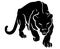 Black Panther Crouching Forward, Front View Animal Illustration