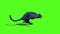 Black Panther Feline Runcycle Green Screen Side 3D Rendering Animation Animals