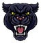 Black Panther Mascot
