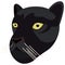 Black panther portrait made in unique simple cartoon style. Head of black leopard or jaguar. Isolated icon for your