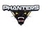 Black Panthers Head Color Logo Illustration Design
