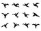 Black paper birds icons set