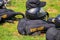 Black paratrooper helmet on parachute knapsack on the grass. There is a black cap on the helmet